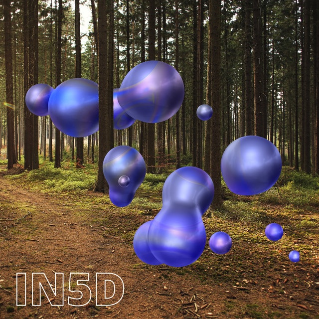 IN5D cover art