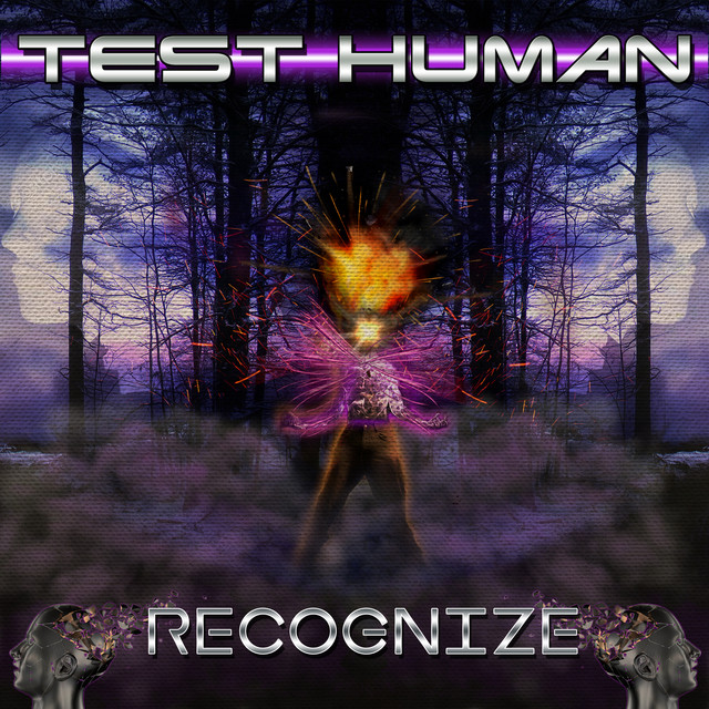 Recognize cover art