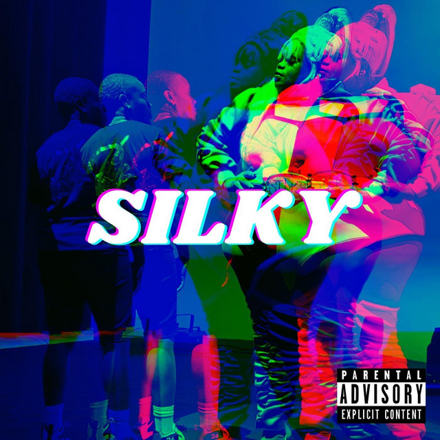 Silky cover art