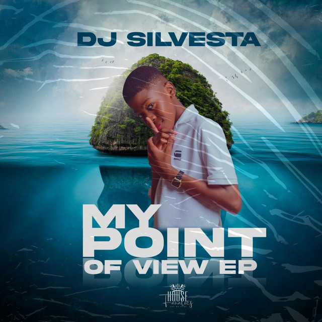 My Point Of View cover art