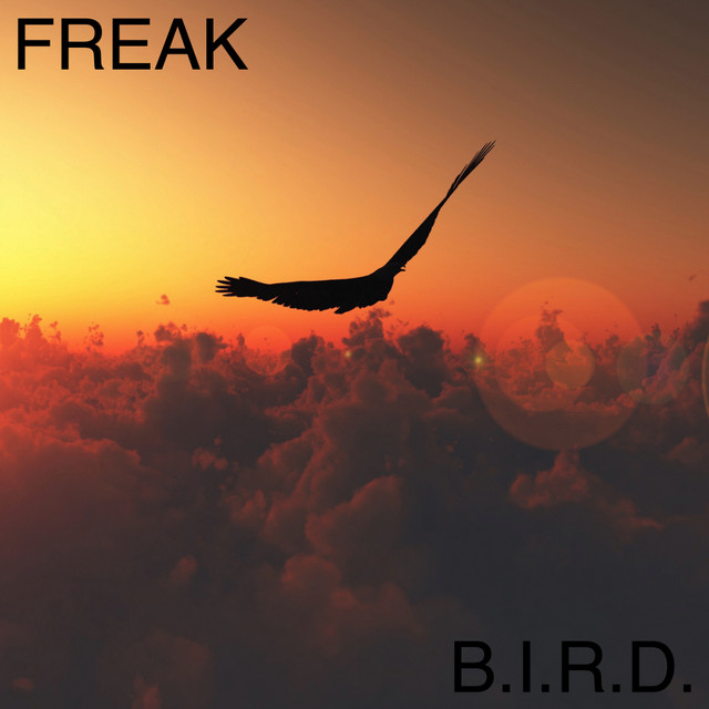 B.I.R.D. - EP by Freak | Spotify