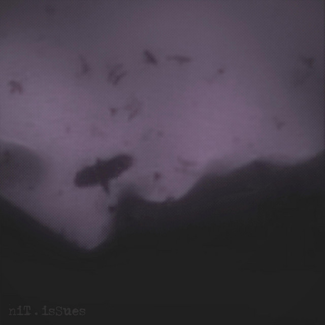 nages cover art