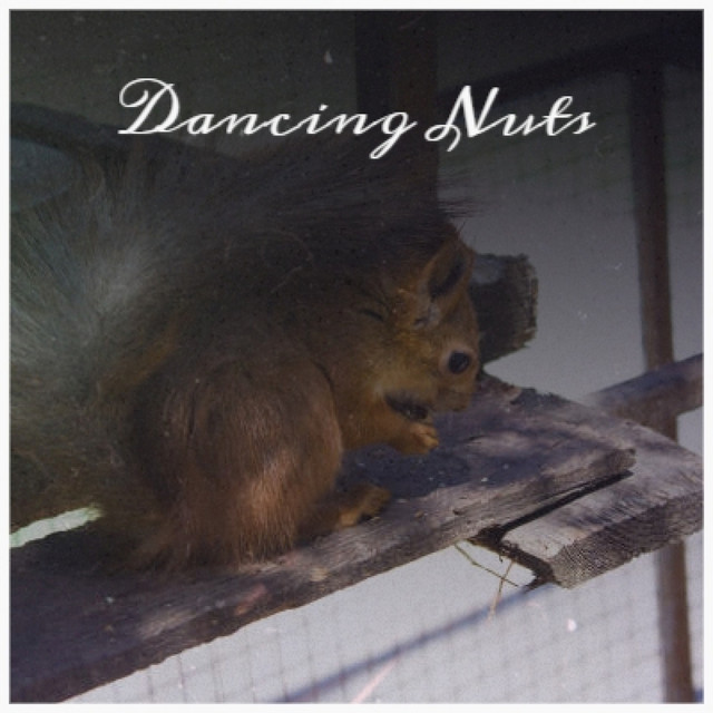 Dancing Nuts - Compilation par Multi-interprètes | Spotify