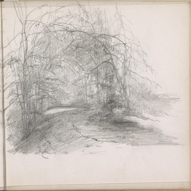 Janáçek. On an overgrown path