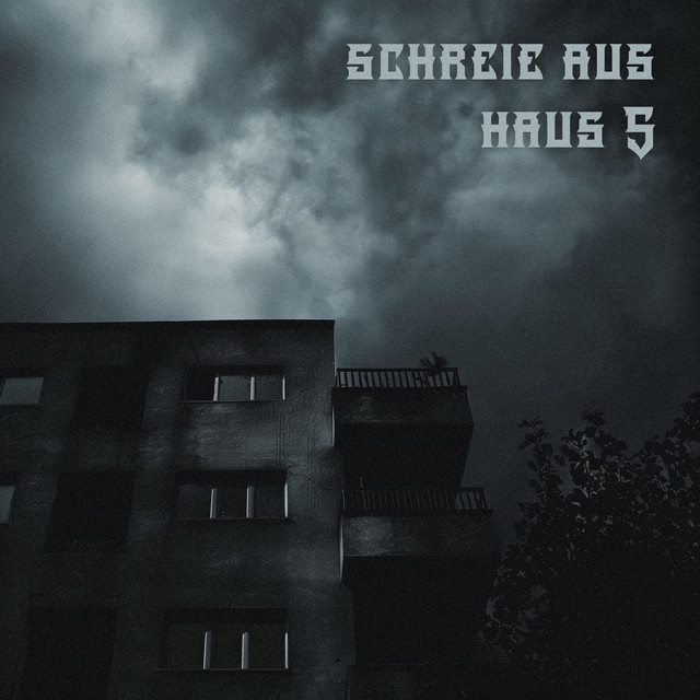 Schreie Aus Haus 5 cover