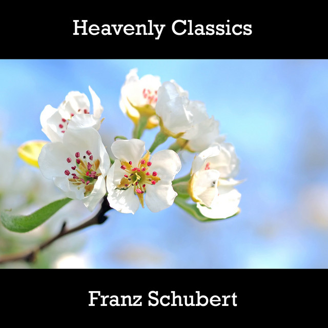 Heavenly Classics Franz Schubert cover art