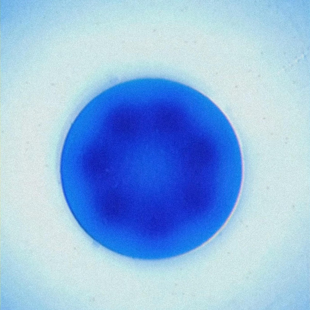 Baby Blue cover