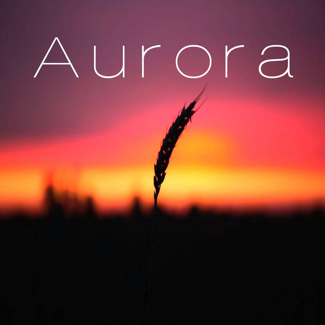 Intro cover art