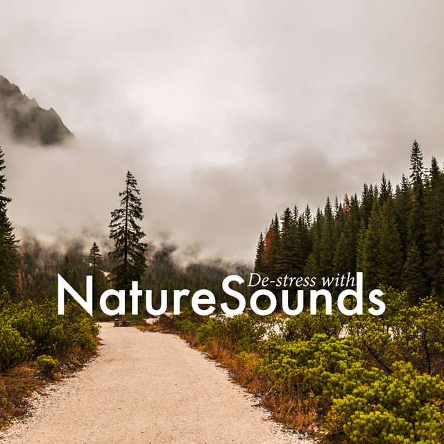 De-Stress with Nature Sounds cover art