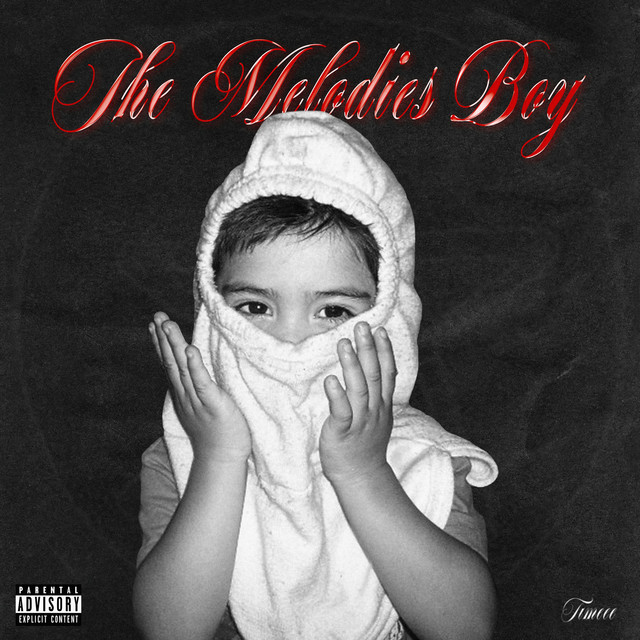 The Melodies Boy cover art
