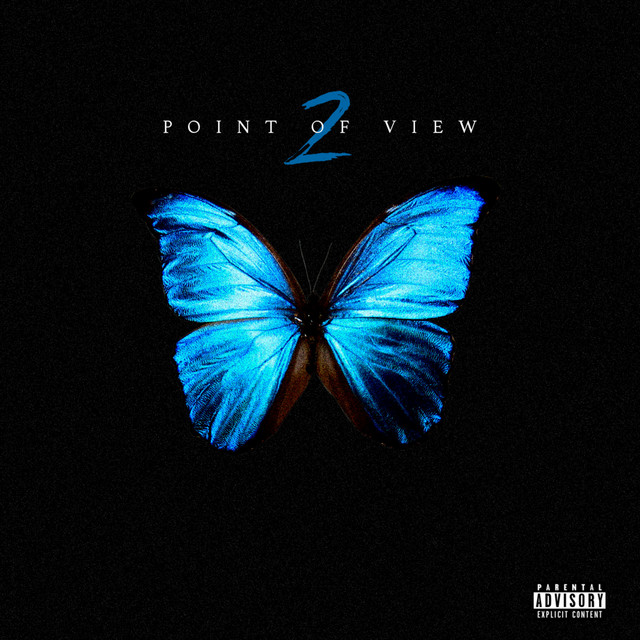 Point of View 2 cover art