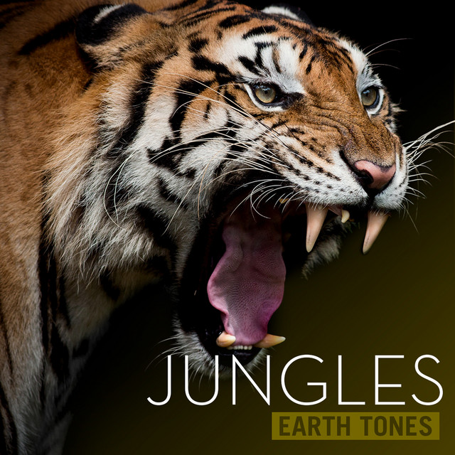 Earth Tones: Jungles cover art