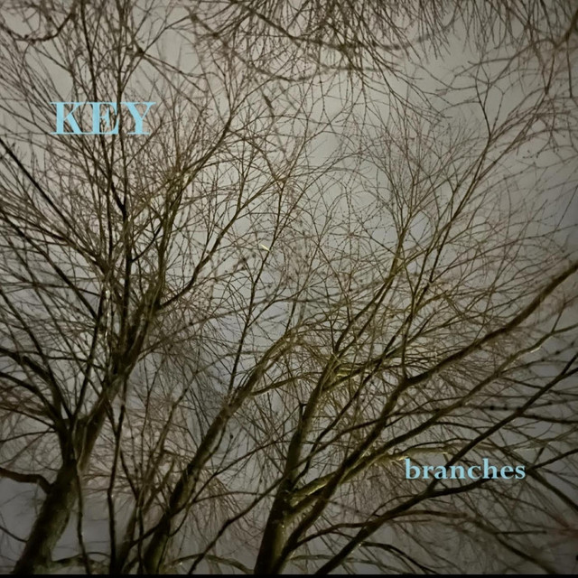 branches cover art