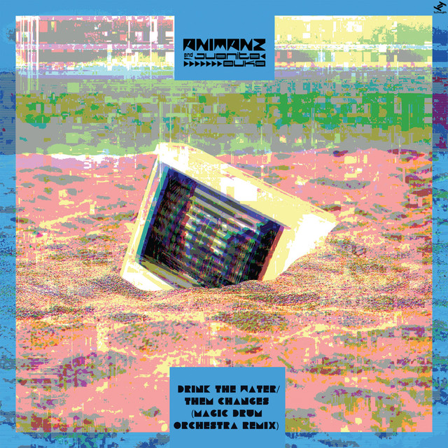 Drink the Water / Them Changes cover art
