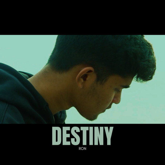 Destiny cover art