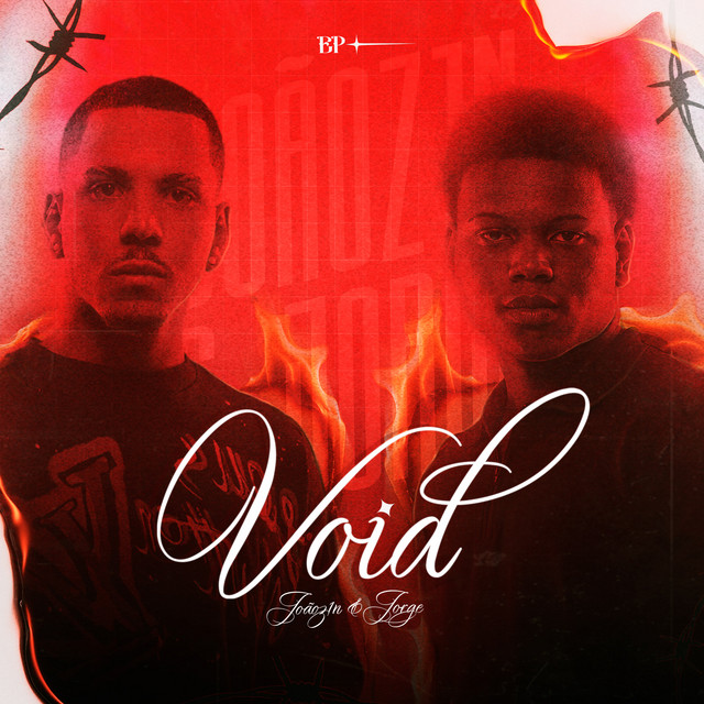 Void cover art