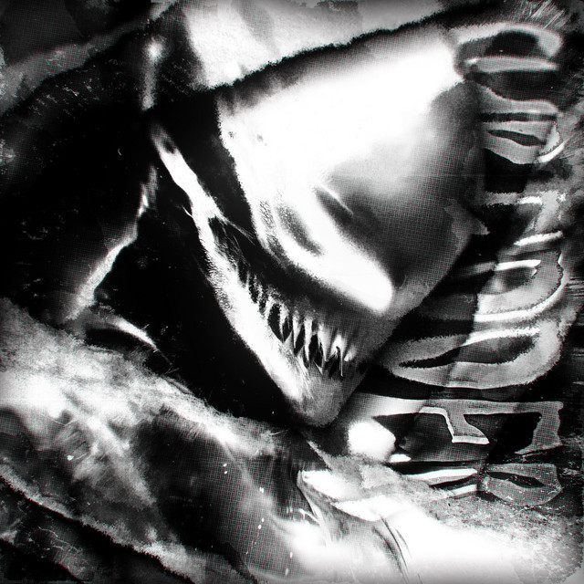 SHREDDER