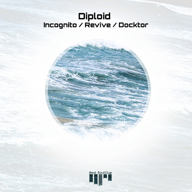 Incognito album art