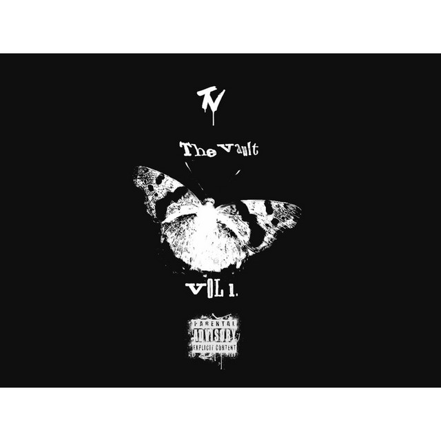 THE VAULT VOL 1 cover art