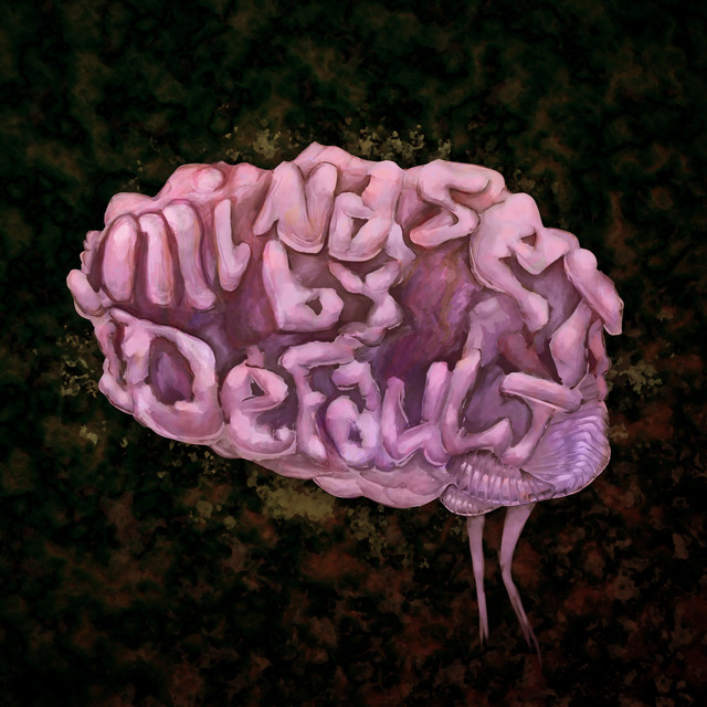 Обкладинка: Mindset by Default — Killar