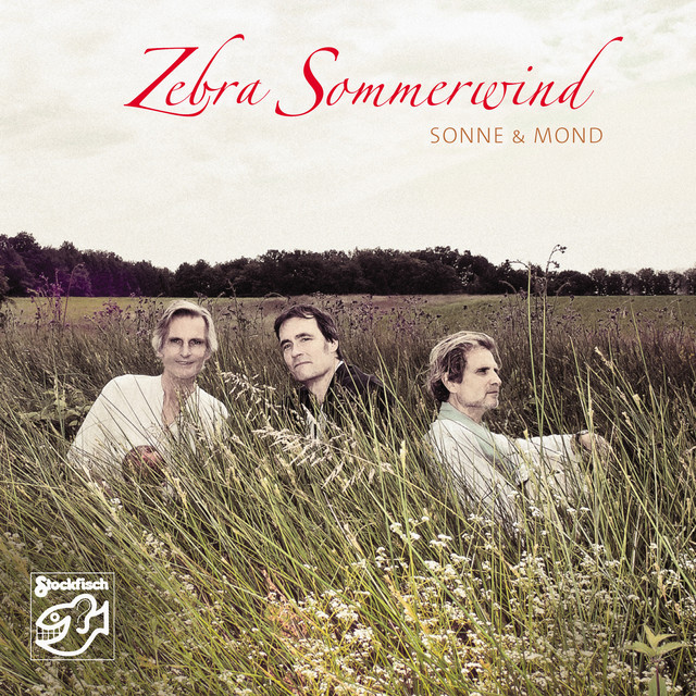 Zebra Sommerwind