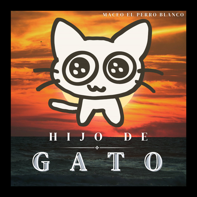 hijo de gato