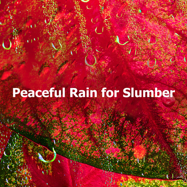Peaceful Rain for Slumber - Album by Rain Sounds Sleep | Spotify