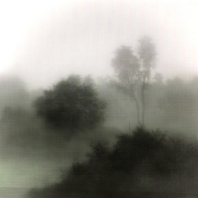 In Bloom, Vol. 2 cover art