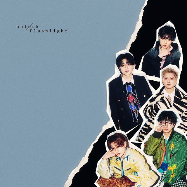 Flashlight cover art