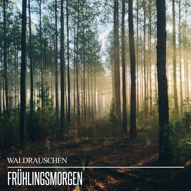 Frühlingsmorgen cover art