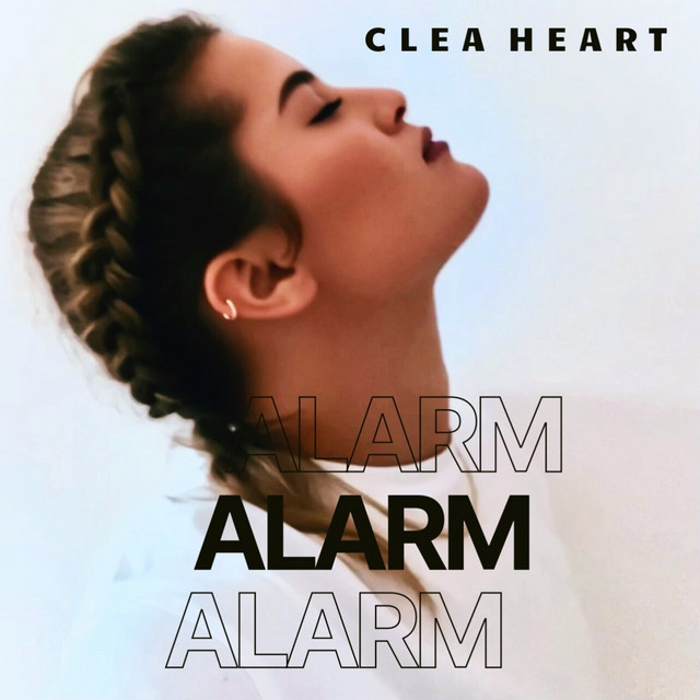 Alarm cover