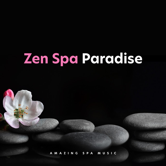 Forest Meditation - song and lyrics by Amazing Spa Music | Spotify
