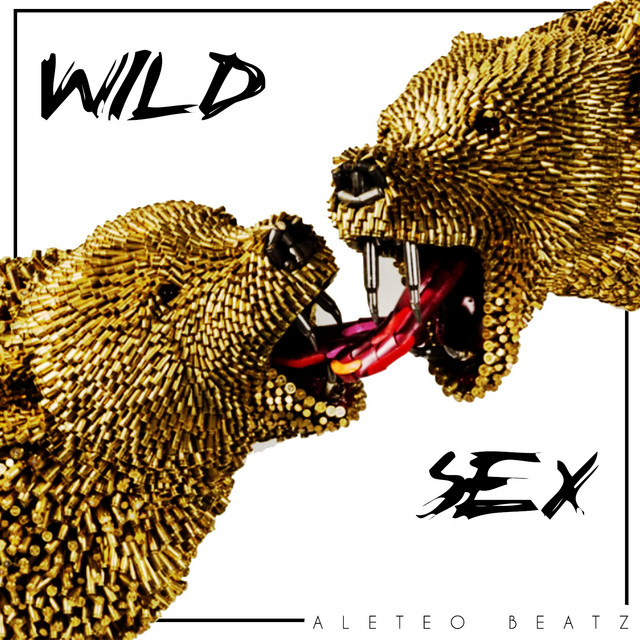 Wild Sex cover art
