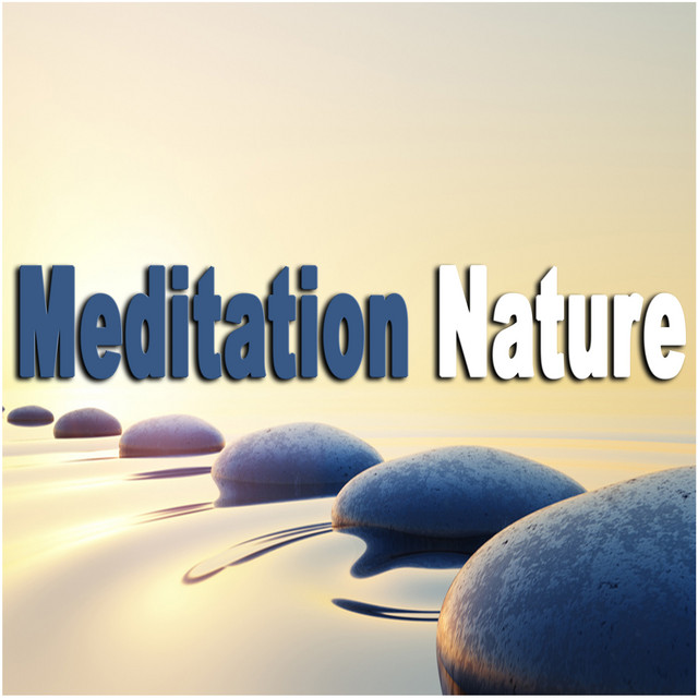 Beach Relaxation cover art