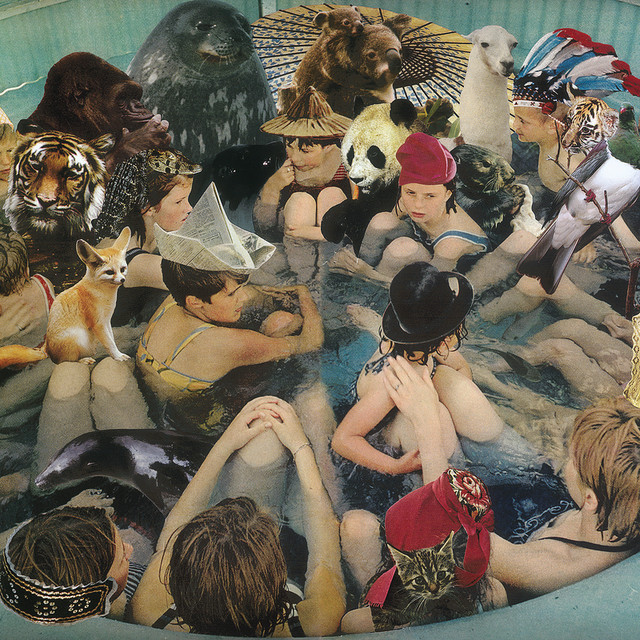 Person Pitch cover art
