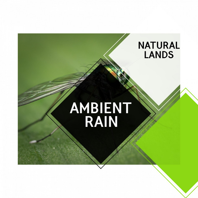 Ambient Rain - Natural Lands cover art