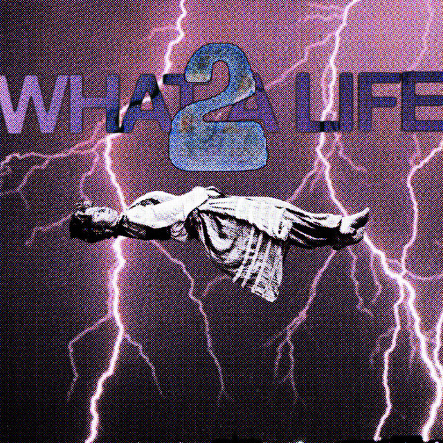 What A Life 2 cover art