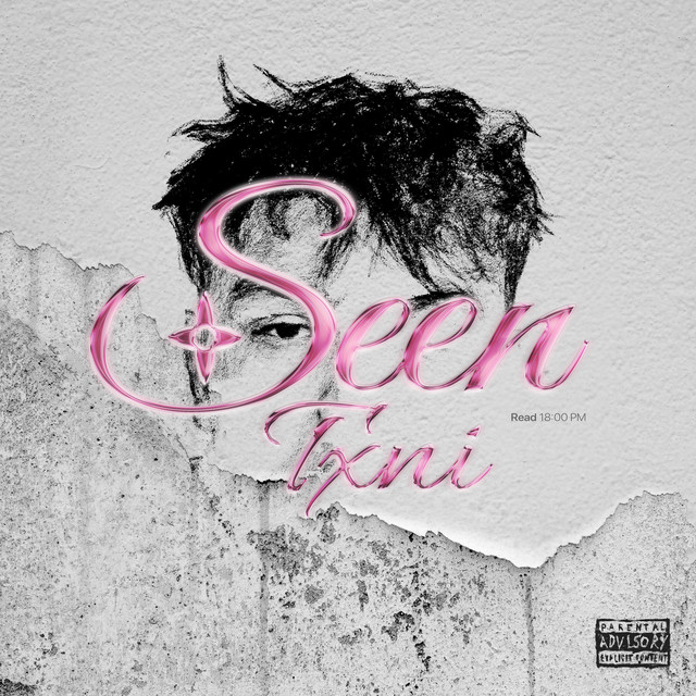 Seen cover art