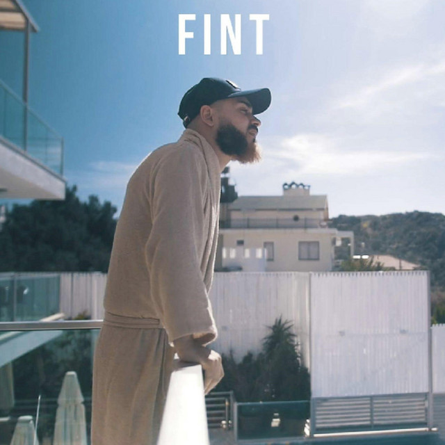 FINT cover art