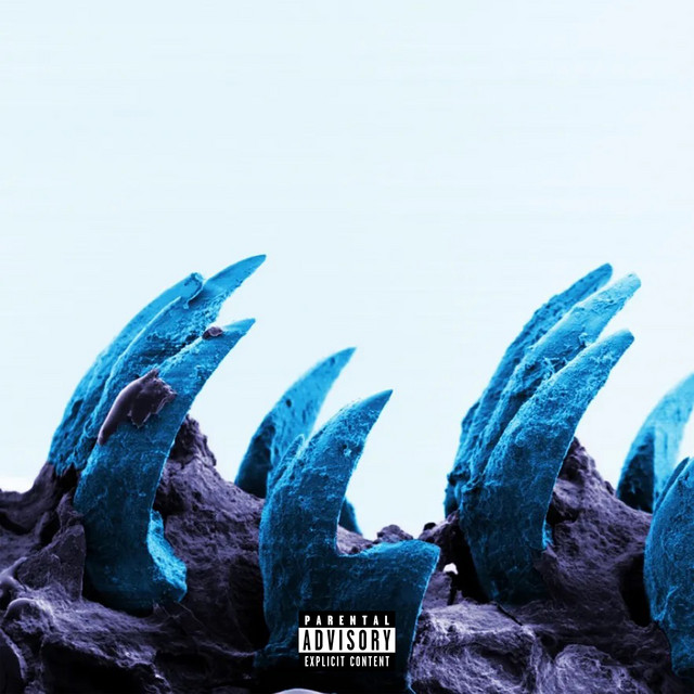 undefined album image