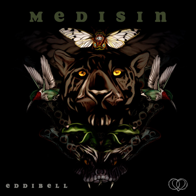 Medisin cover art