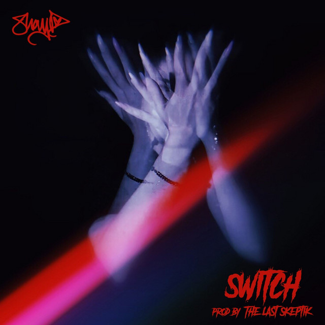 Switch cover