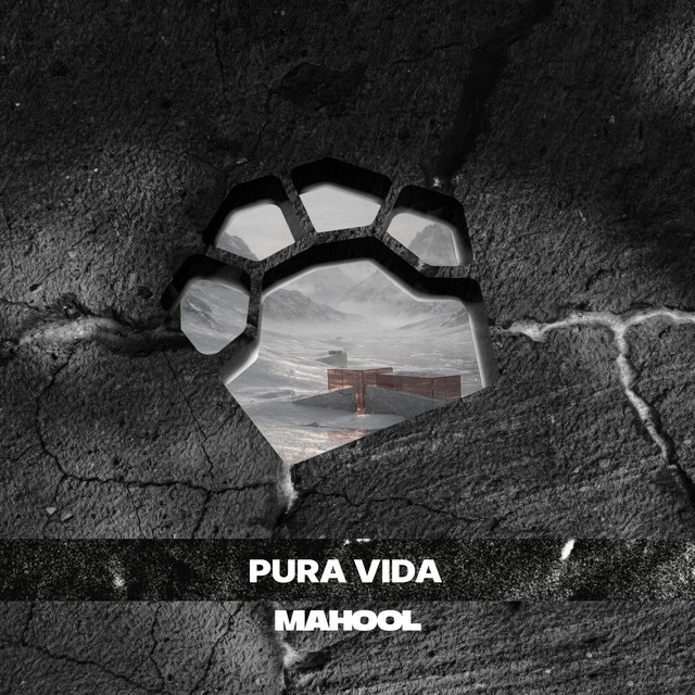 Pura Vida cover art