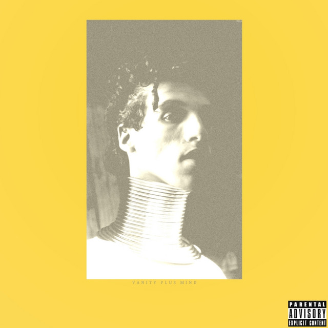 Vanity Plus Mind cover art