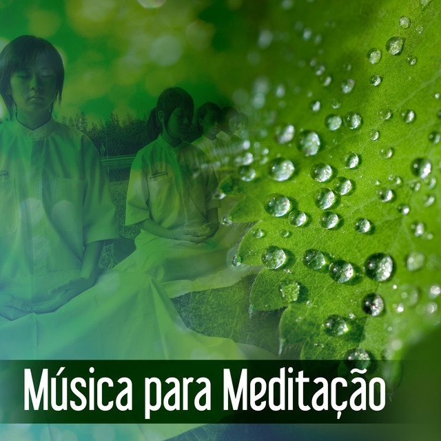Música para Meditação cover art