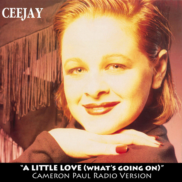 A Little Love (What's Goin' On) - Cameron Paul Radio Version