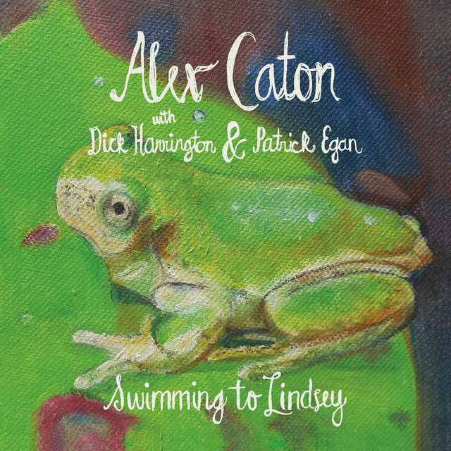 Swimming to Lindsey cover art