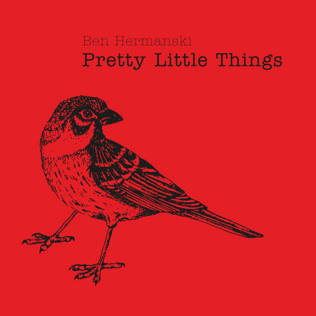 Pretty Little Things cover art