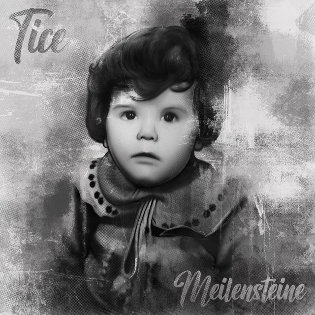 Meilensteine cover