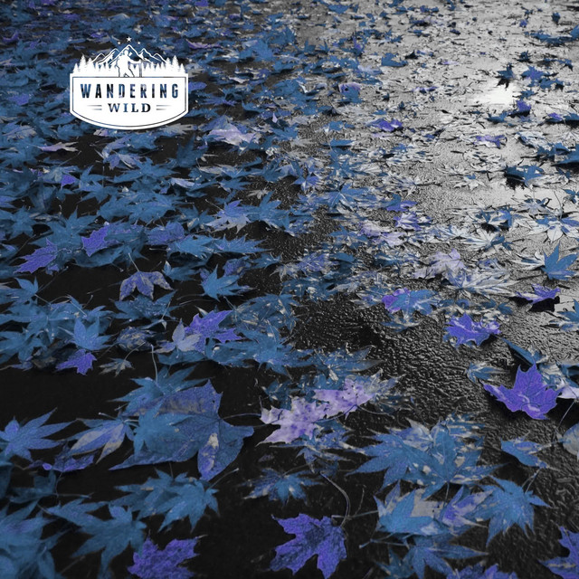 Afternoon Spring Porch Rain cover art